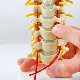 osteopthische_medizin image osteopthische medizin